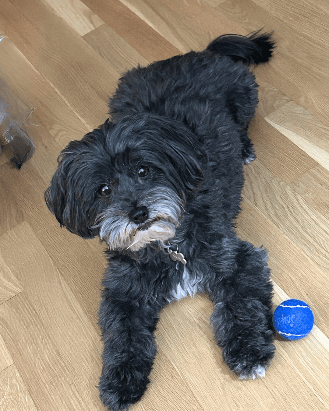 She’s freaking me out!