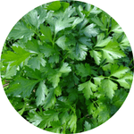 parsley