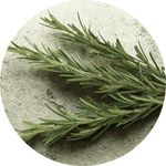 rosemary on a counter