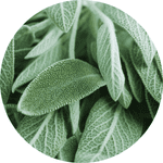 sage